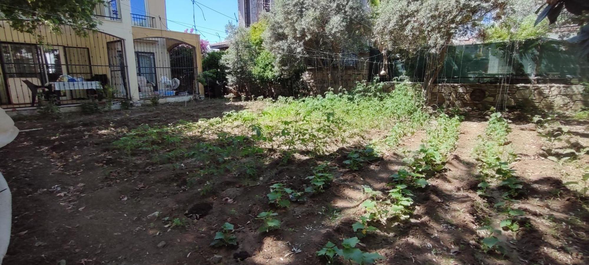 Cileks Apart Otel Fethiye Zewnętrze zdjęcie